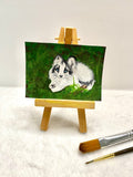 Husky ACEO