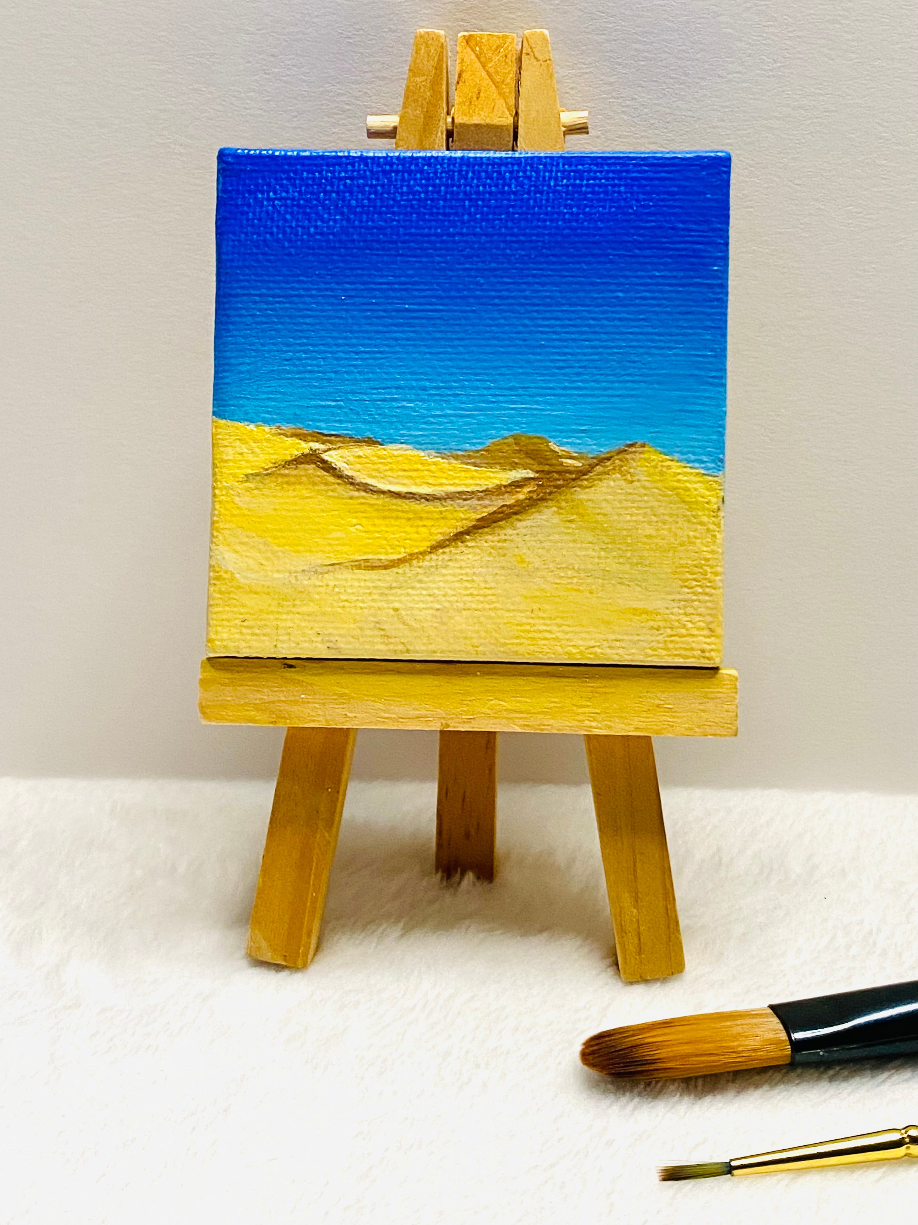 Desert Mini Canvas