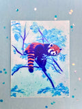Blue Red Panda Sticker